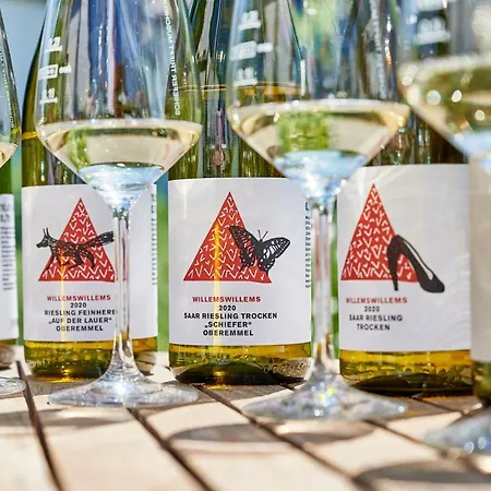 Ferienweingut Willems Apartment Oberemmel