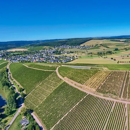 Ferienweingut Willems Apartment