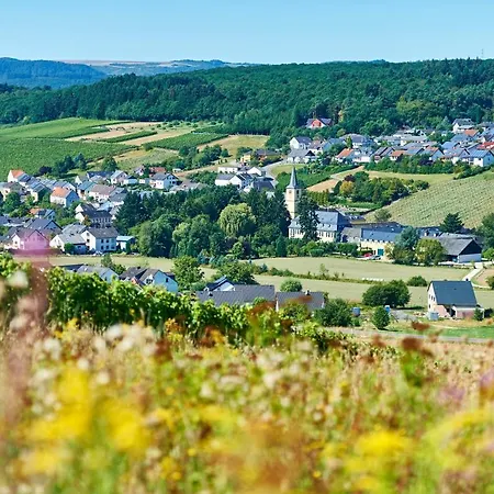 Ferienweingut Willems Oberemmel