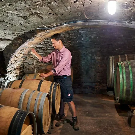 Ferienweingut Willems Lejlighed *