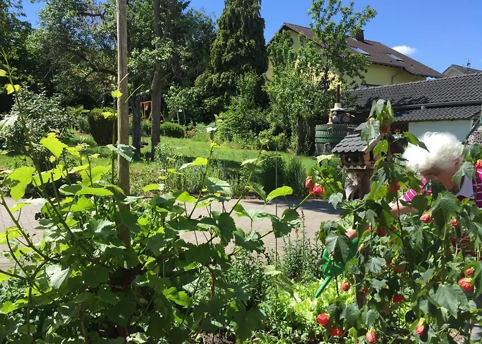 Ferienweingut Willems